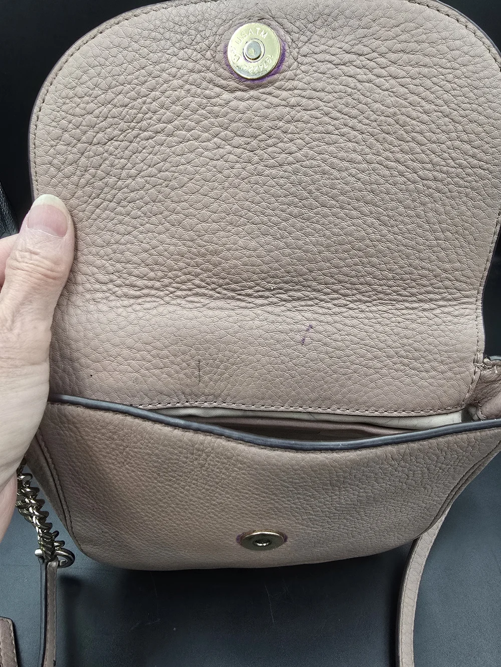 Michael Kors Blush Leather Crossbody Bag
